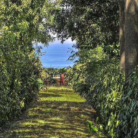 In With Garden Bbq Casa vacanze